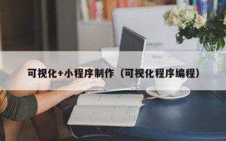 神木可视化+小程序制作（可视化程序编程）